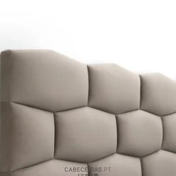 Cabeceira Orgânica